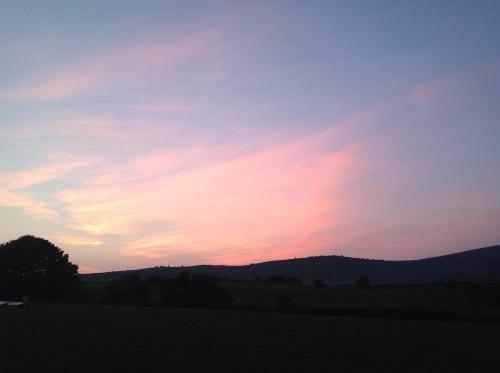 Brynhaul Bed And Breakfast