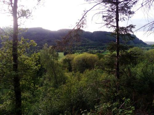 Aberconwy House B&B