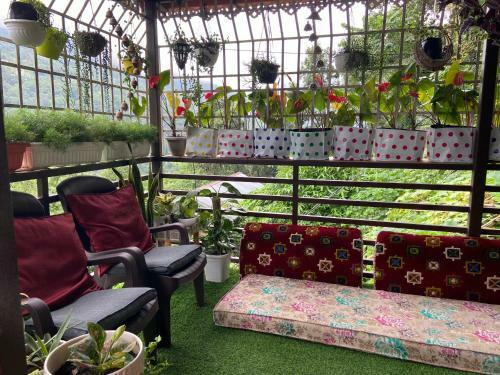 Bed & Breakfast Newa House