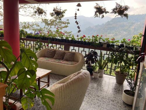 Bed & Breakfast Newa House