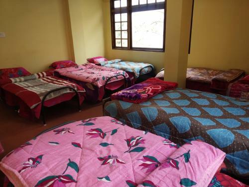 Wild Thrills Hostel