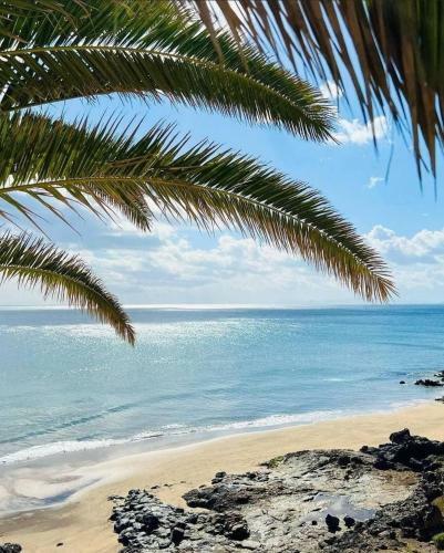 Apartamentos Thaisay