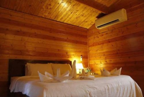 Hotel 11 Eleven Beach Club N Resort