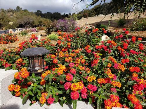Hostal Yosemite Foothill Retreat - Private Guest Suite #2