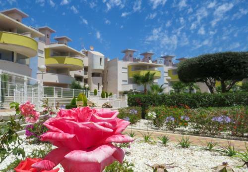 Apartamento Novogolf Complex