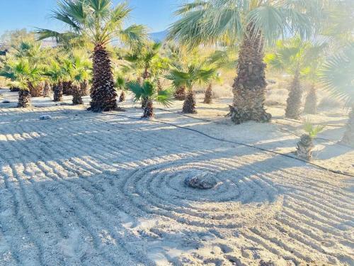 Anja Adobe At Bubbling Wells Oasis