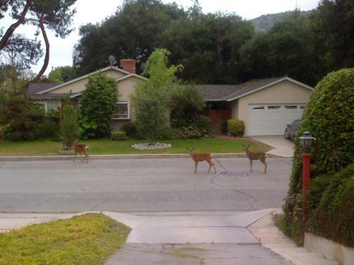 Oak Grove Ranch House