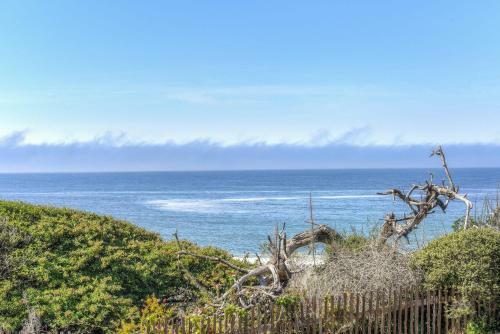 Ocean Bungalow