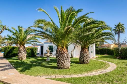 Apartamentos Las Golondrinas