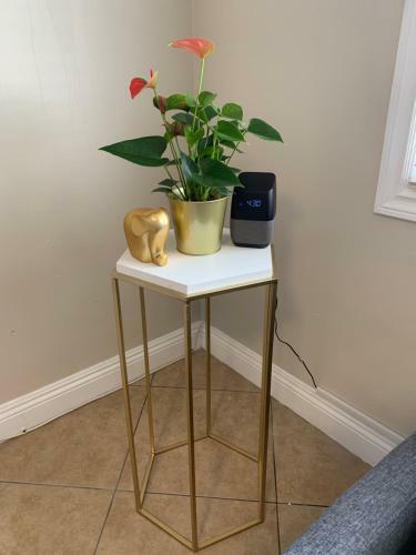 Apartamento Huntington Park's Lindo Y Moderno