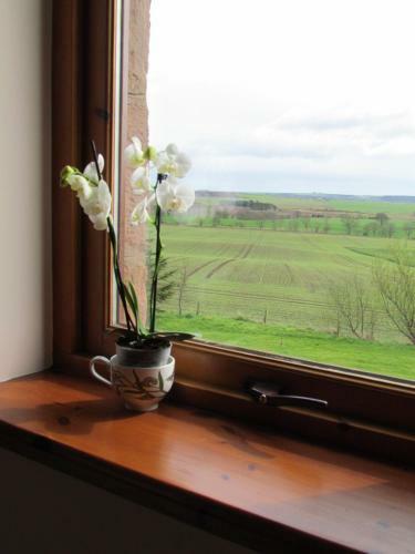 Bed & Breakfast Kescoweth