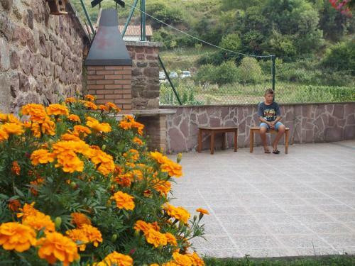 Agroturismo Casa Rural Txolinenea