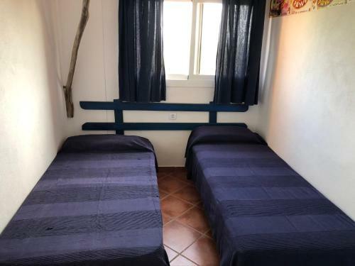 Apartamento �tico Rex II