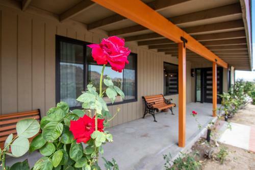 @ Marbella Lane - The Wine Mine Desert Escape