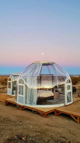 Jthavn-joshua Tree Remote Dessert Bubble Dome