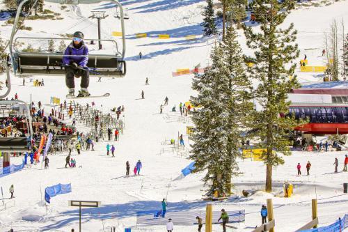 Truckee Treat