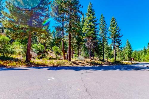 Truckee Treat