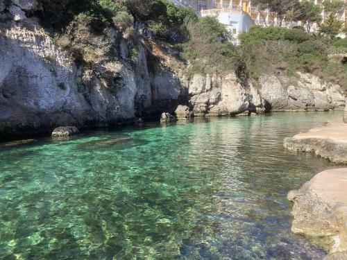 Fonoll Mar�