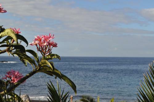 Apartamento Luar Del Carmen