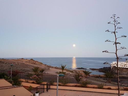 Tenerife Lizards - Duplex In The First Line