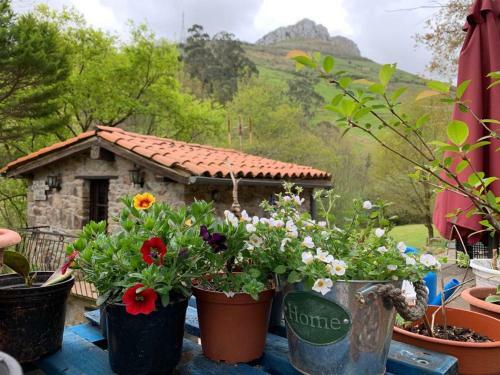 La Casuca Del Bosque