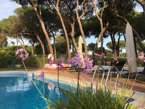 Bed & Breakfast Villa de La Luz Luxury Guesthouse