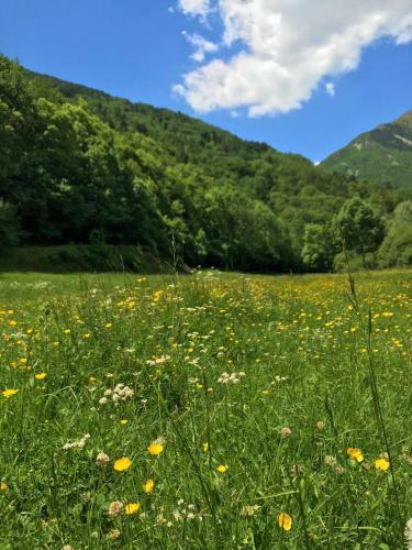 Apartamento Un Rinc�n Especial En Vall de Boi