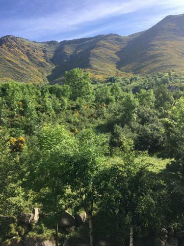Acollidor Apartament A Vall de Bo�