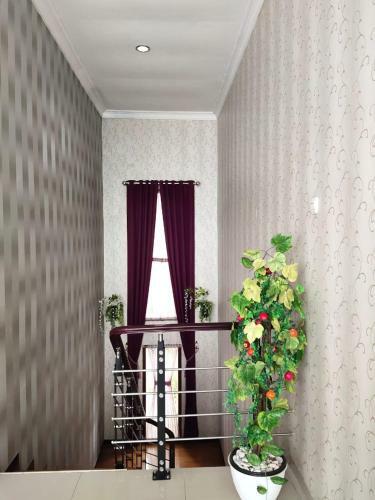 Villa Rr Ina 2