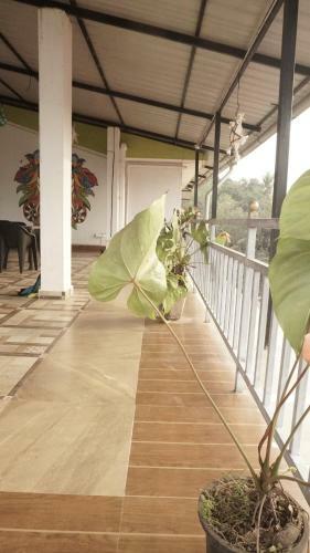 Hostal Countinhos Grand