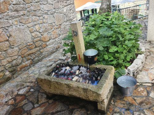 Hotel A Baiuca Mux�a