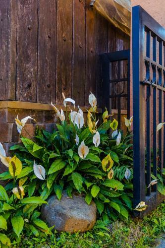 Apartamento Yong's Place At The Courtyard By Goshen