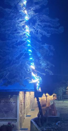 Hotel Babylon Bamboo Cottage