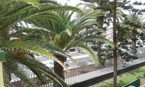Apartamento Tagoro Park