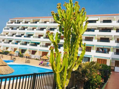 Apartamento Atlantic View - Quiet, Peaceful And Windless Apt With Fantastic Ocean View