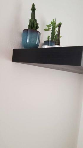 Hermoso Apartamento Con Estacionamiento Gratuito.