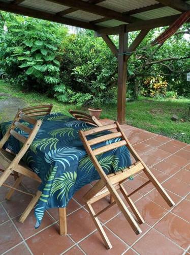 Apartamento Studio En Rez De Jardin