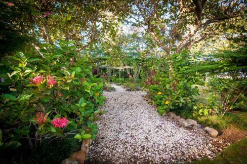 Four Bed Beach Side Villa