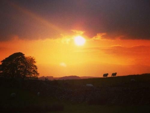 Bed & Breakfast Llwyn Onn Guest House, North Wales