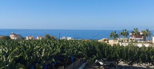 Harmony Seaview Apartments
