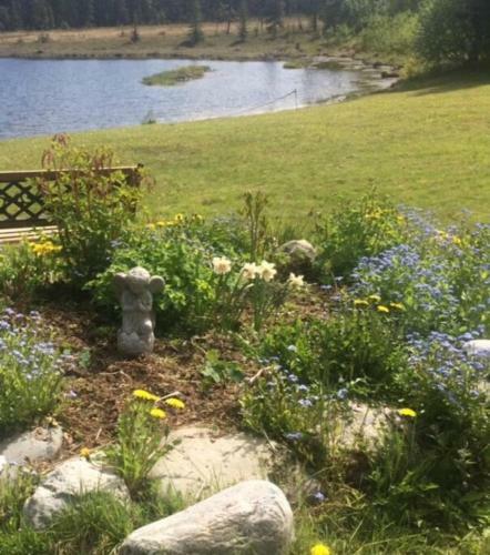 One Bedroom Log Cabin On A Pond At Martin's Cabins