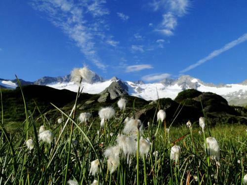 Apartamento Ahornblick