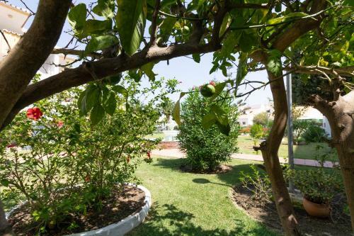 Apartamento El Arco