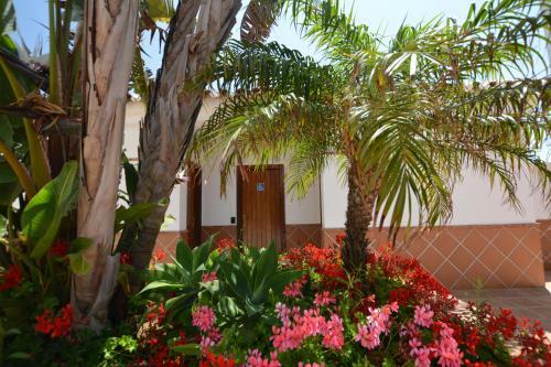 Apartamento Jazmin Miraflores