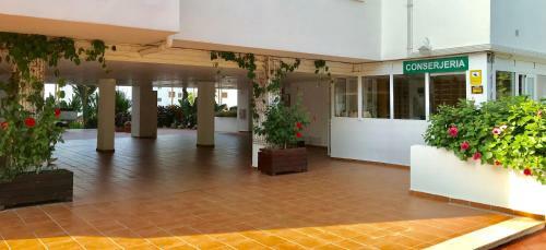 Apartamento Mi Capricho, Beachfront, Grownfloor, Private Garden & Terrace