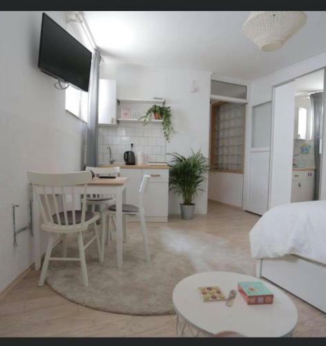 Studio Apartments Siesta
