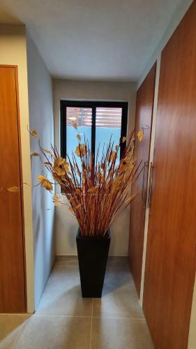 Apartamento R09 Luxury Studio Power A 5 Min Del Itesm R09