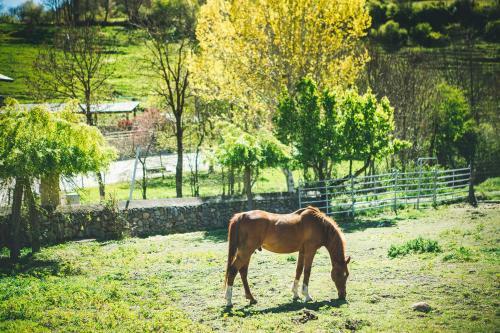 Agroturismo Intrepid Hotel Rural - Adults Only