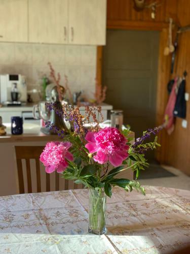 Agroturismo Sepa Farm Stay Room