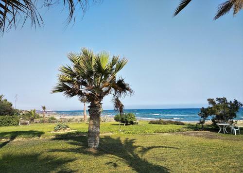 2-bedroom Apartment With Swimming Pool In Larnaca